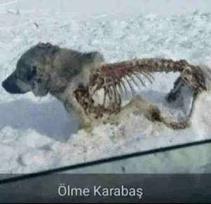 yorum görseli