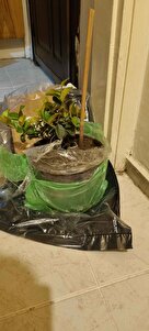 Müşteri yorumu görseli