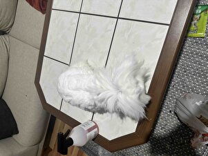 Müşteri yorumu görseli