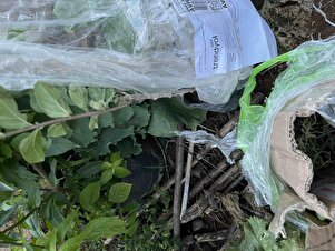 Müşteri yorumu görseli