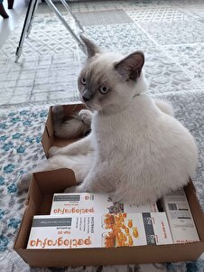 Değerlendirme fotoğrafı