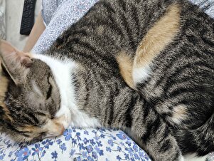 Değerlendirme fotoğrafı