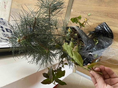 Müşteri yorumu görseli