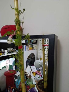 Müşteri yorumu görseli