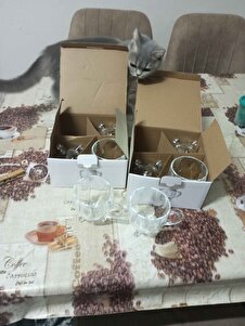 Müşteri yorumu görseli