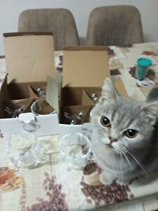 Müşteri yorumu görseli