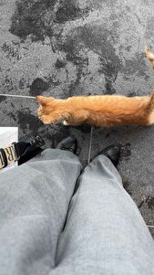Değerlendirme fotoğrafı