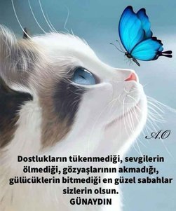 yorum görseli