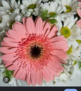 Müşteri yorumu görseli