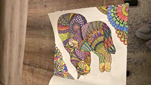 Müşteri yorumu görseli