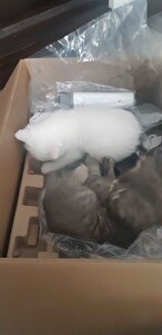 Değerlendirme fotoğrafı