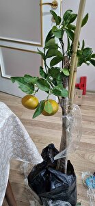 Müşteri yorumu görseli