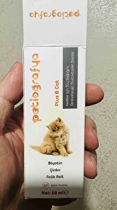 Değerlendirme fotoğrafı