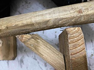 Müşteri yorumu görseli