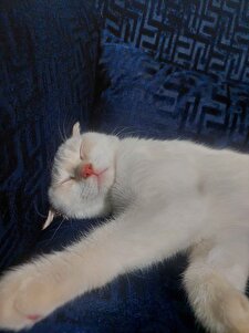 Değerlendirme fotoğrafı