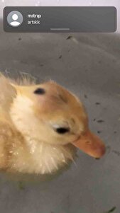 Müşteri yorumu görseli