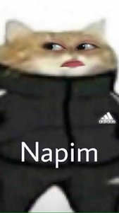 yorum görseli