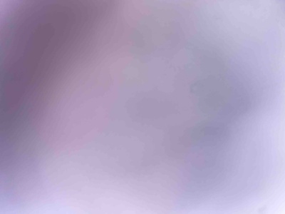 صورة المراجعة