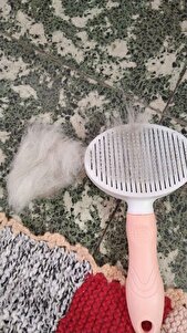 Değerlendirme fotoğrafı