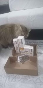 Değerlendirme fotoğrafı