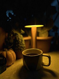 Müşteri yorumu görseli