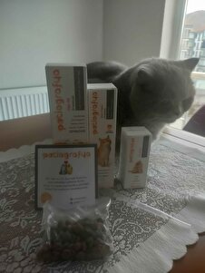 Değerlendirme fotoğrafı