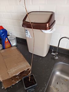 Müşteri yorumu görseli