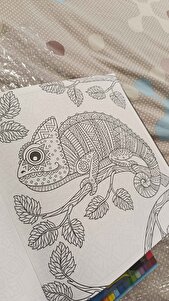 Müşteri yorumu görseli