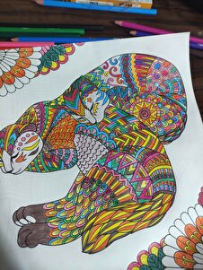 Müşteri yorumu görseli