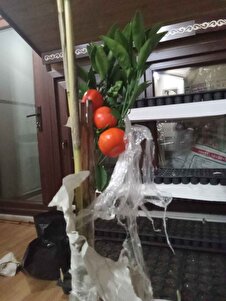 Müşteri yorumu görseli