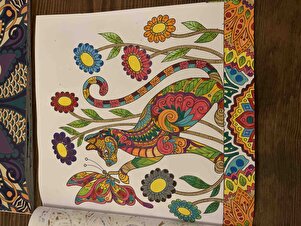 Müşteri yorumu görseli