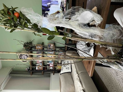 Müşteri yorumu görseli