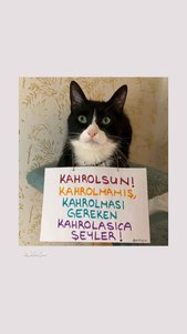 yorum görseli