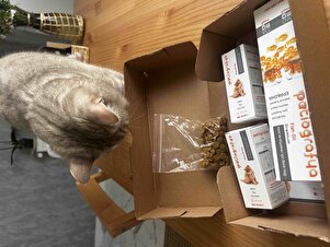 Değerlendirme fotoğrafı