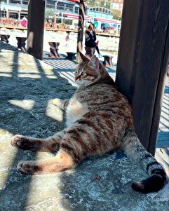 Müşteri yorumu görseli