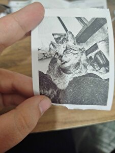 Değerlendirme fotoğrafı