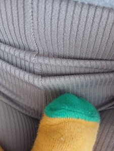 Değerlendirme fotoğrafı