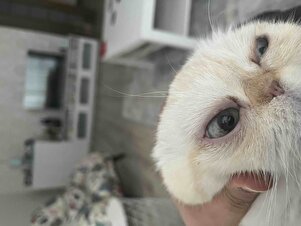 Değerlendirme fotoğrafı