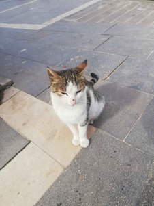 yorum görseli