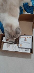 Değerlendirme fotoğrafı