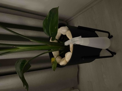 Müşteri yorumu görseli