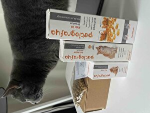 Değerlendirme fotoğrafı