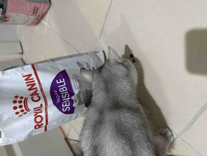 yorum görseli