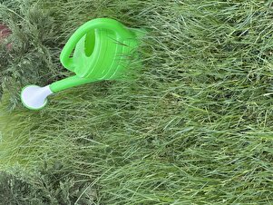 Müşteri yorumu görseli