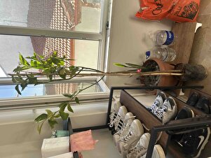 Müşteri yorumu görseli