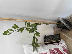 Müşteri yorumu görseli