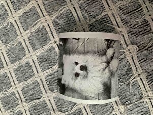 Değerlendirme fotoğrafı