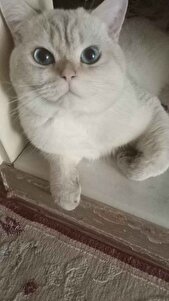 Değerlendirme fotoğrafı