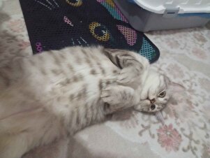 Değerlendirme fotoğrafı