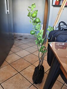 Müşteri yorumu görseli